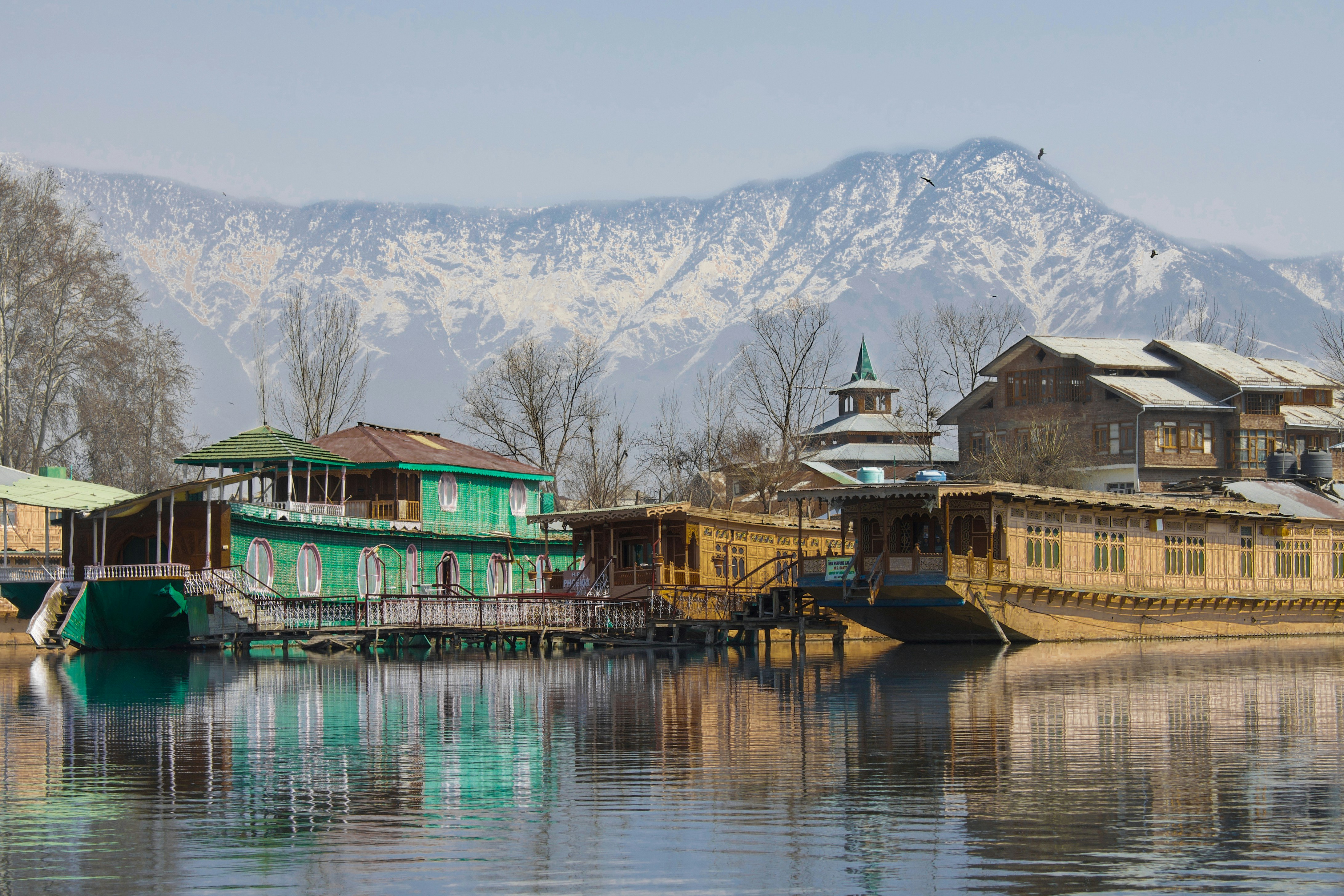 Houseboats moored on Dal Lake in Srinagar, Kashmir, with snow-capped Himalayan peaks rising in the background. The wooden houseboats are painted in green and ochre, with traditional Kashmiri architectural details. Birds are visible in the sky.